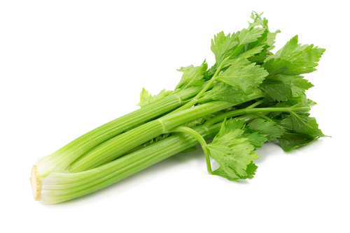 selder groen /stuk